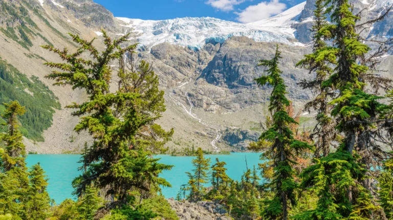 Discover Whistler & Sea to Sky Gondola Day Tour - FlyDunya
