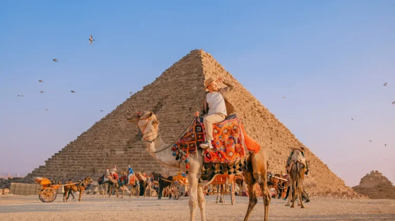 Discover Cairo Only | FlyDunya