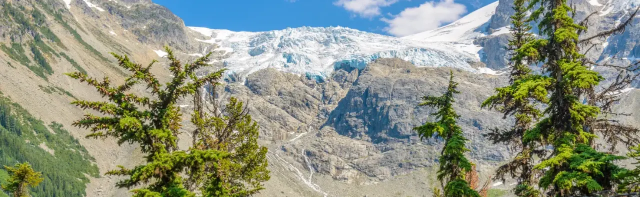 How Much Does It Cost to Take the Sea to Sky Gondola?